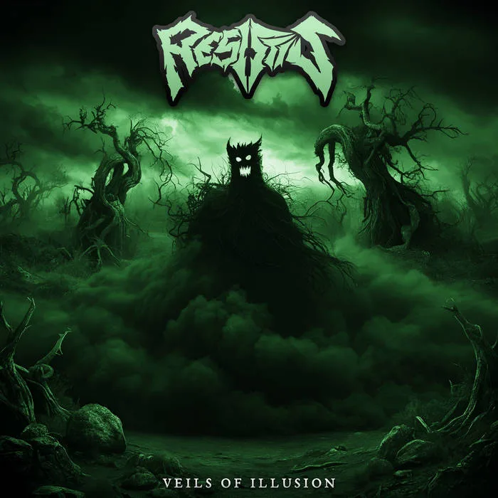 Veils of Illusion cover