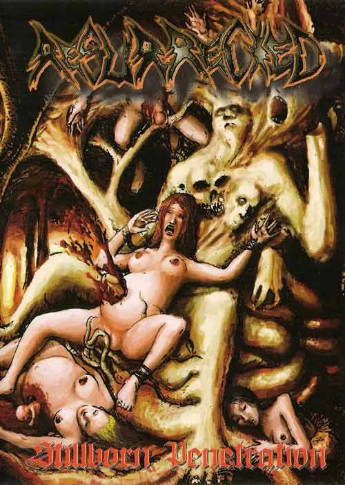 Stillborn Penetration cover