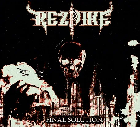 Final Solution cover