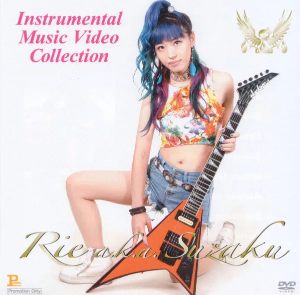 Instrumental Music Video Collection cover