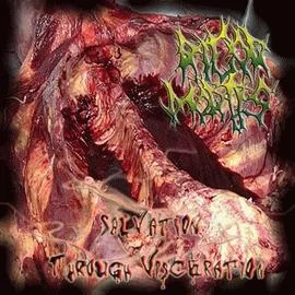 Salvation Through Visceration cover