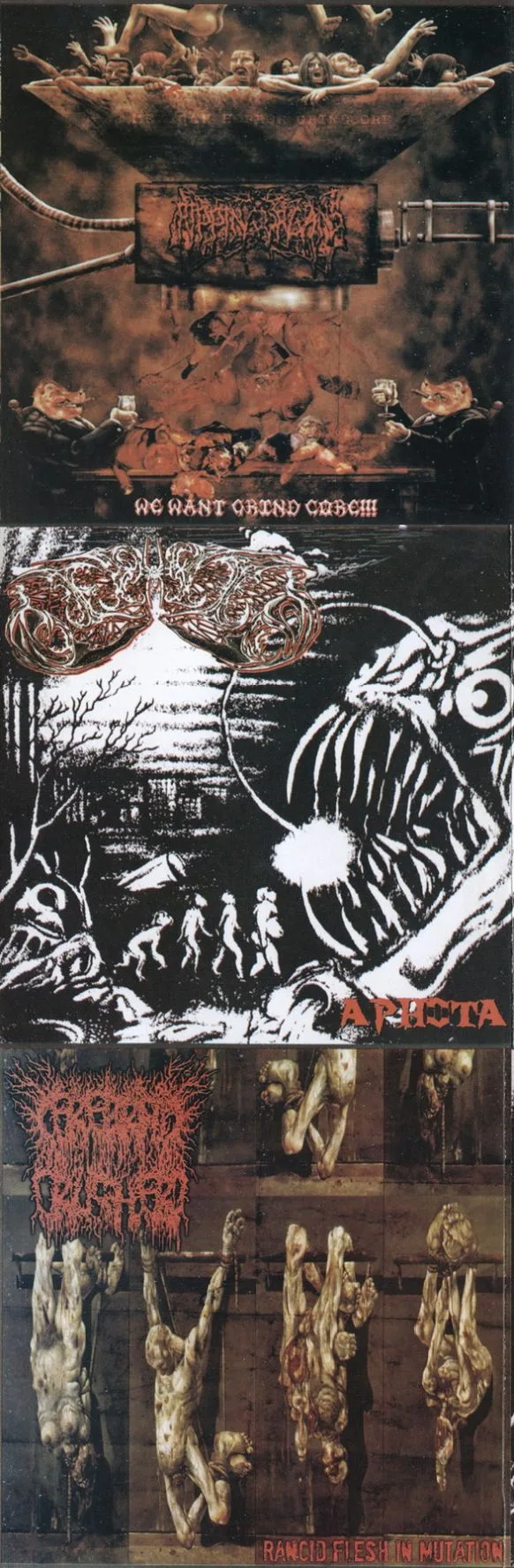 We Want Grind Core!!! / Aphota / Rancid Flesh in Mutilation cover