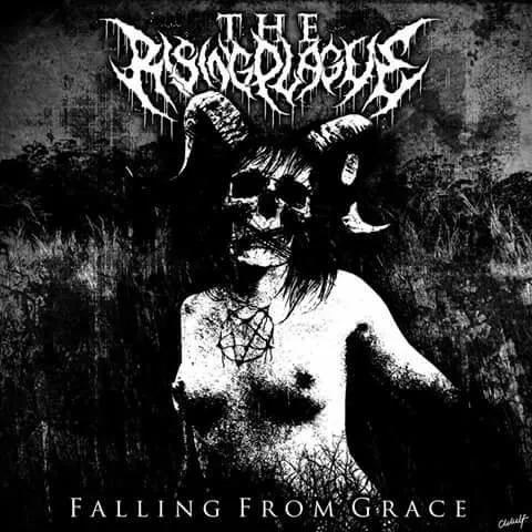 Falling from Grace cover