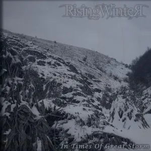 In Times of Great Storm cover