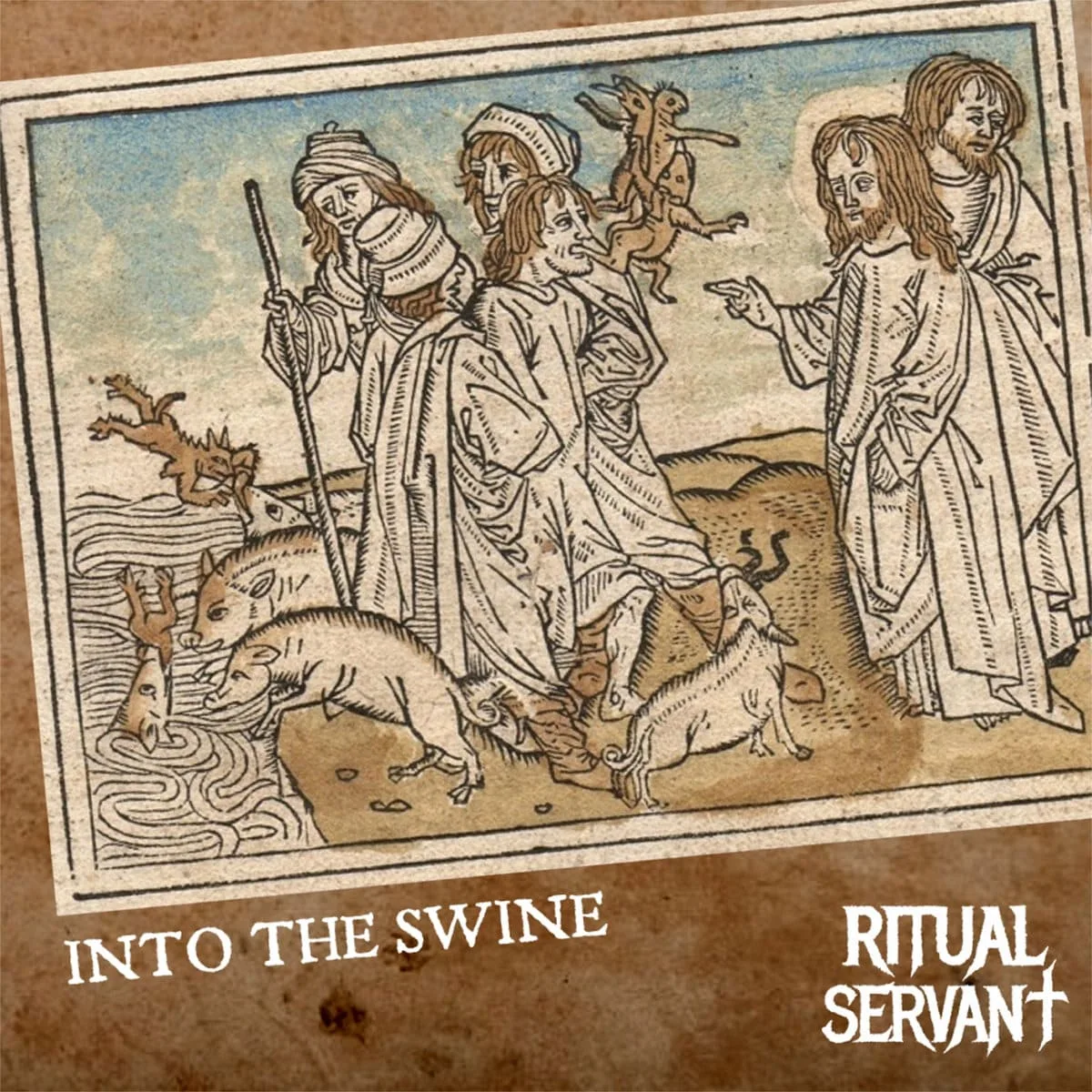 Into the Swine cover