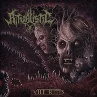 Vile Rites cover