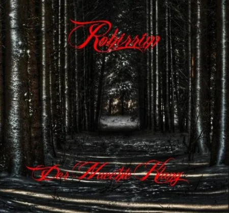 Der Naechte Klang cover