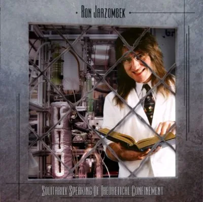 Solitarily Speaking of Theoretical Confinement cover