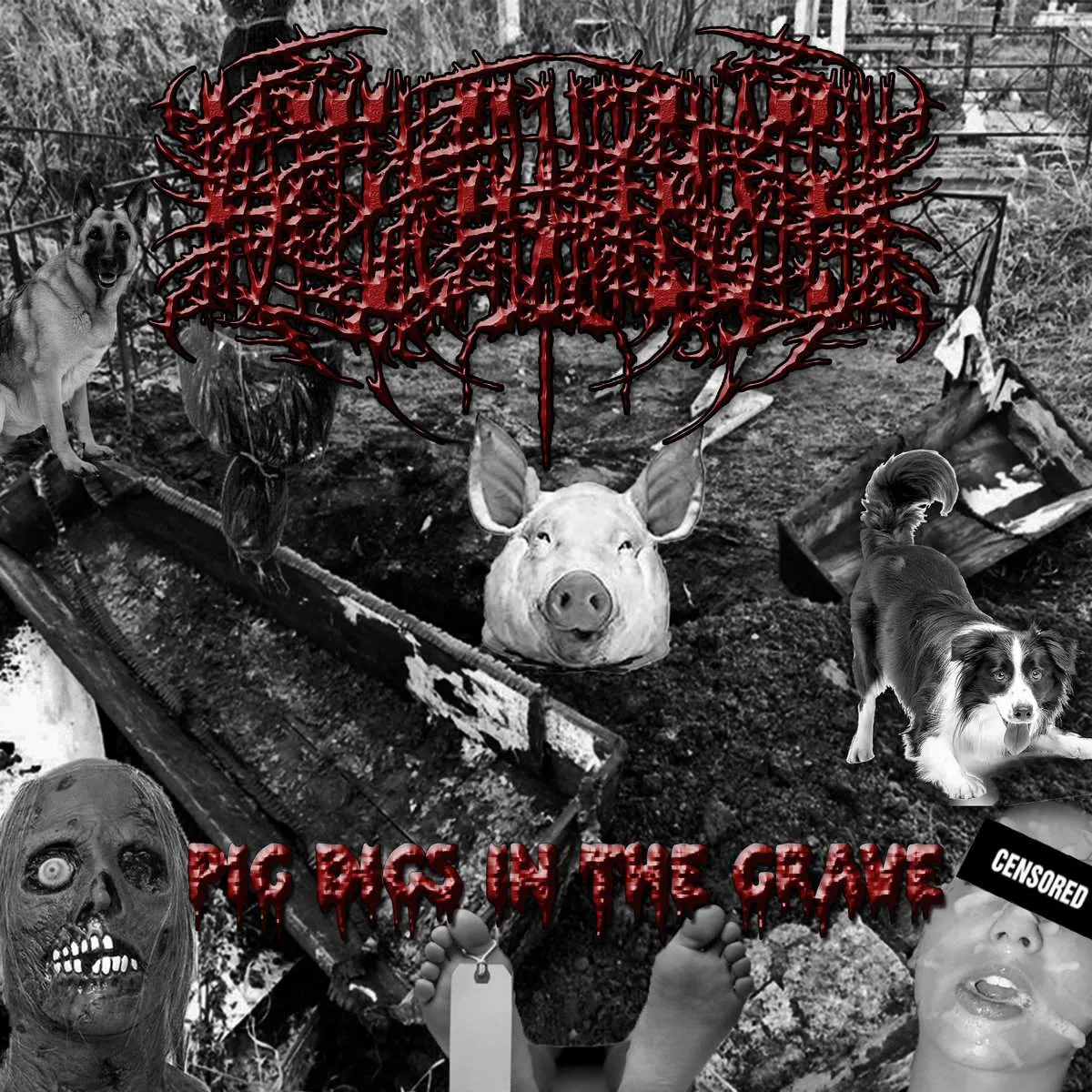 Pigs Dig in the Grave cover