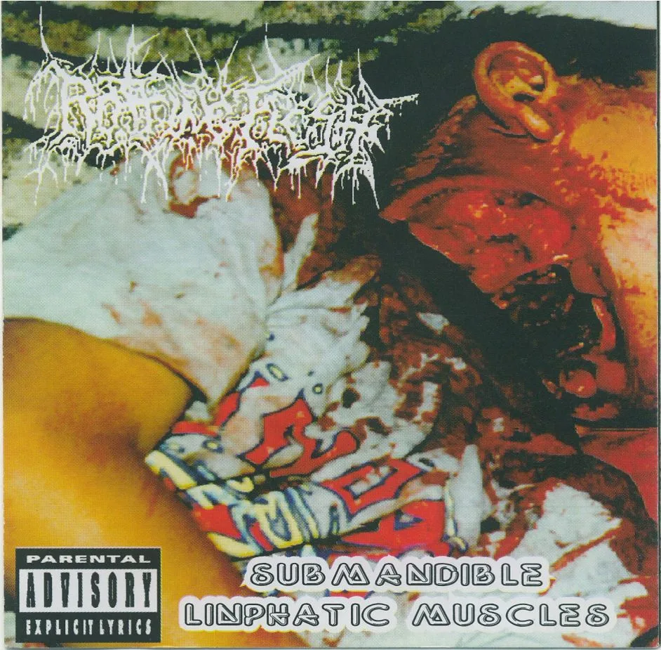 Submandible Limphatic Muscles cover