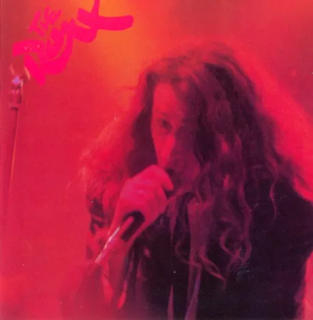 Wild Things - Live cover