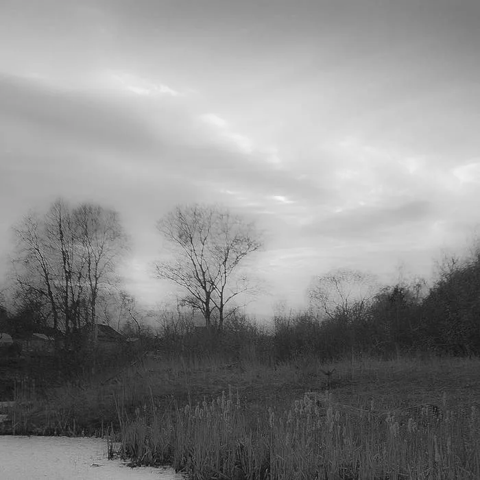 True Forced Loneliness cover