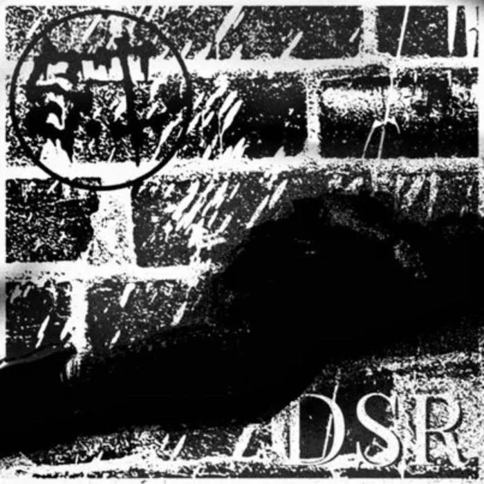 DSR cover