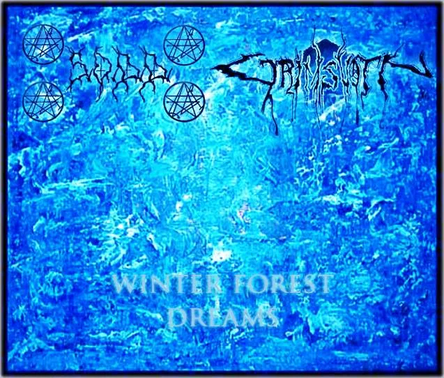 Winter Forest Dreams cover