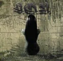 Captured in My Mind cover