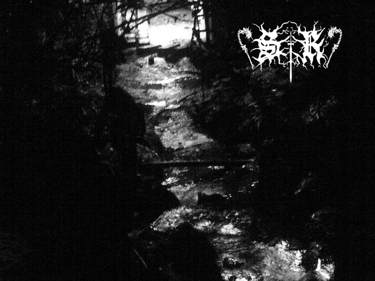 Hidden Forest cover