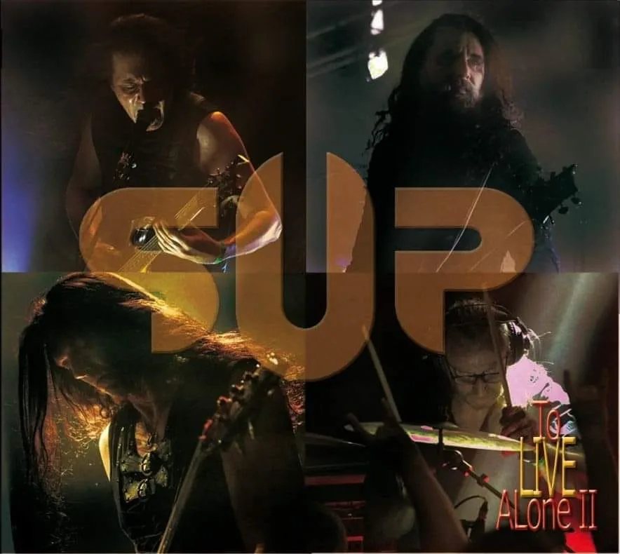 To LIve Alone II cover