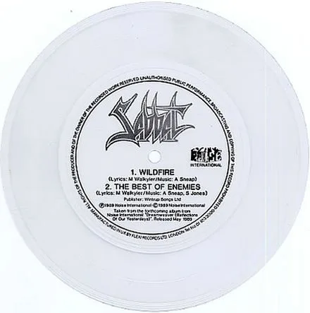 Wildfire / The Best of Enemies cover