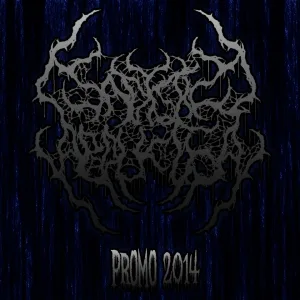 Promo 2014 cover