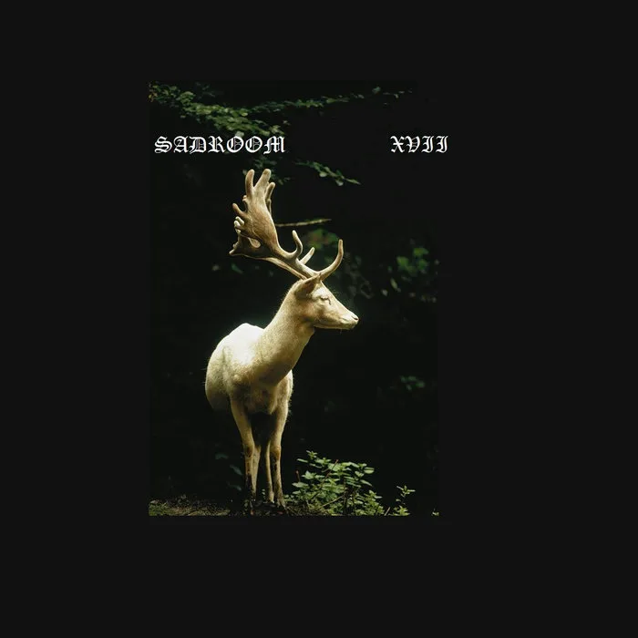 XVII cover