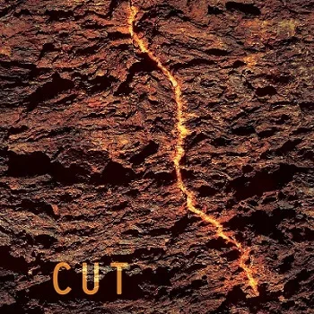 Cut cover