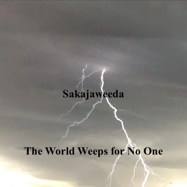 The World Weeps for No One (Acoustic) cover