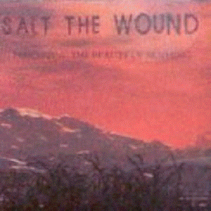 Perceiving the Beauty of Nothing cover