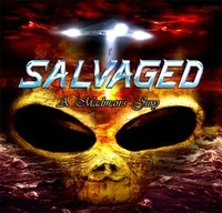 A Madman's Jury cover