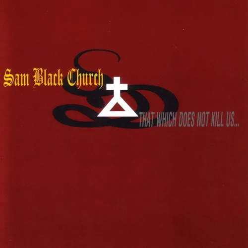 That Which Does Not Kill Us.... Makes Us Stronger cover