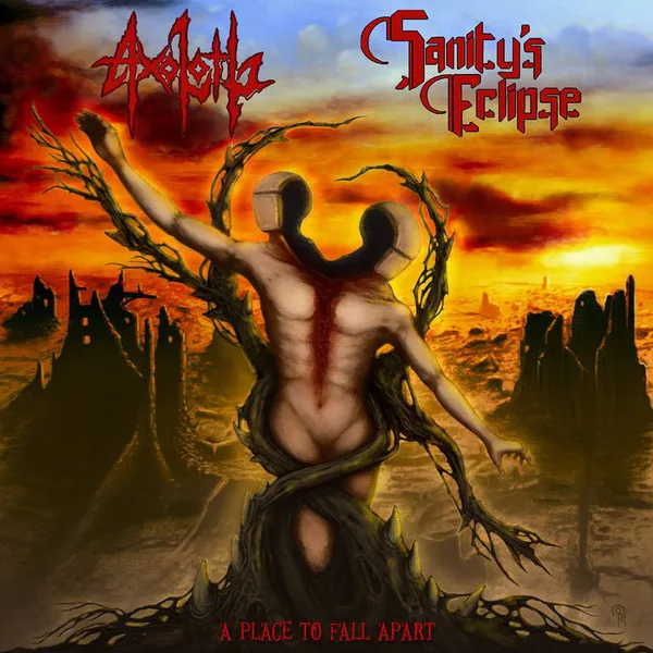 A Place to Fall Apart cover