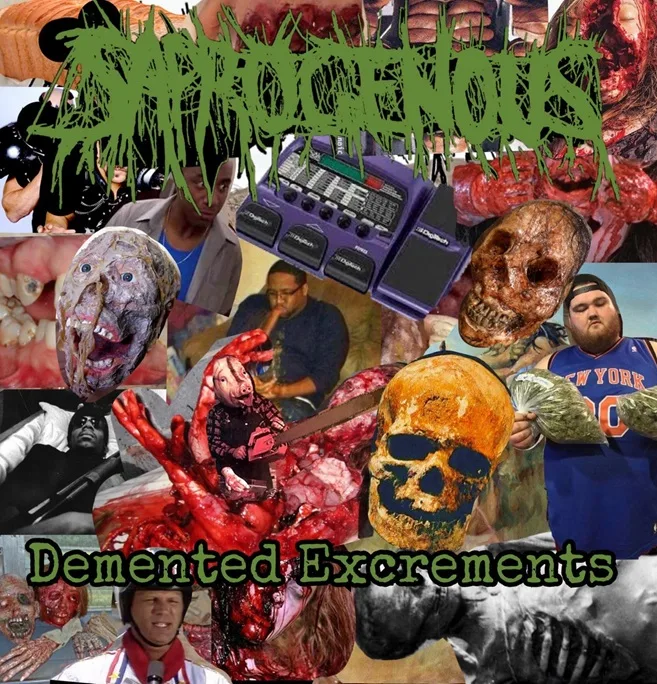 Demented Excrements cover