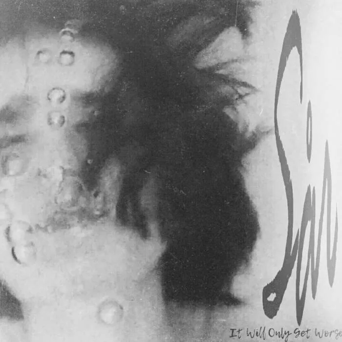 It Will Only Get Worse cover