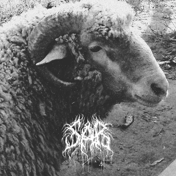 Existential Crisis (Part II) cover