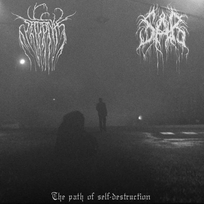 The Path of Self-Destruction cover