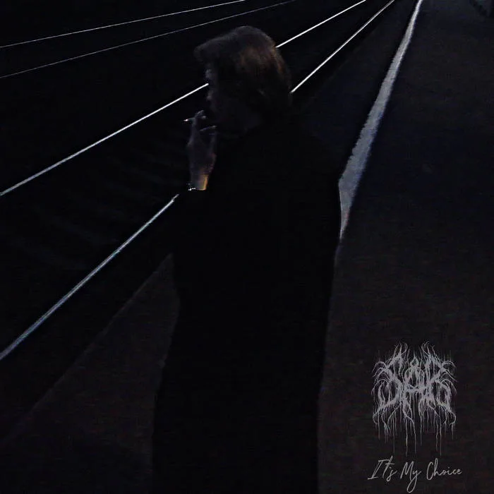 It's My Choice cover