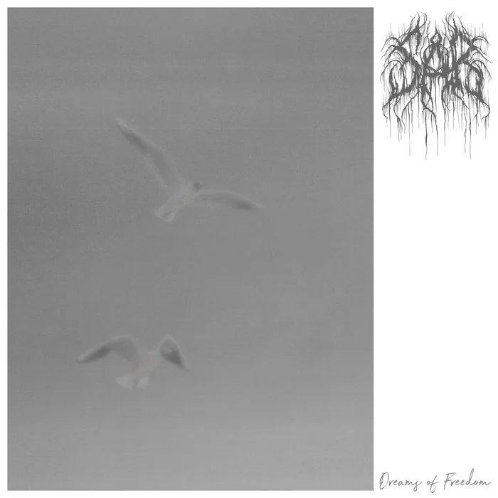 Dreams of Freedom cover