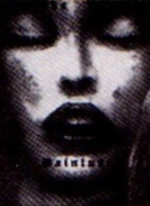 Painlust cover