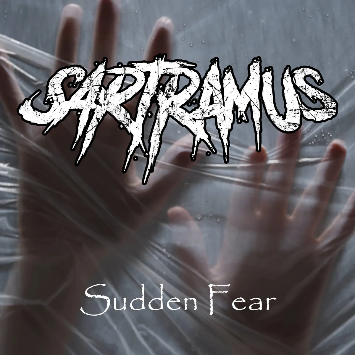 Sudden Fear cover