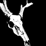 Savage cover