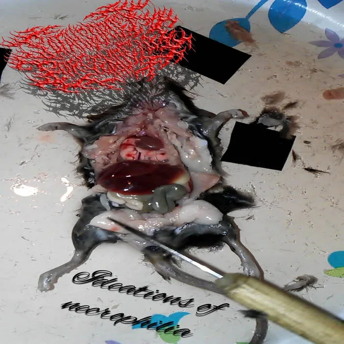 Ideations of Necrophilia cover