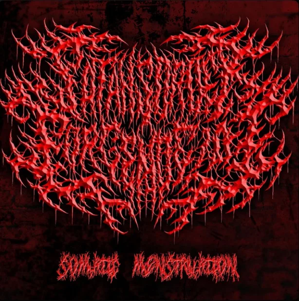 Somatic Menstruation cover
