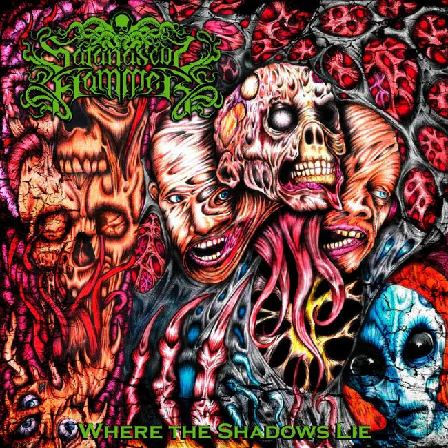 Where the Shadows Lie cover