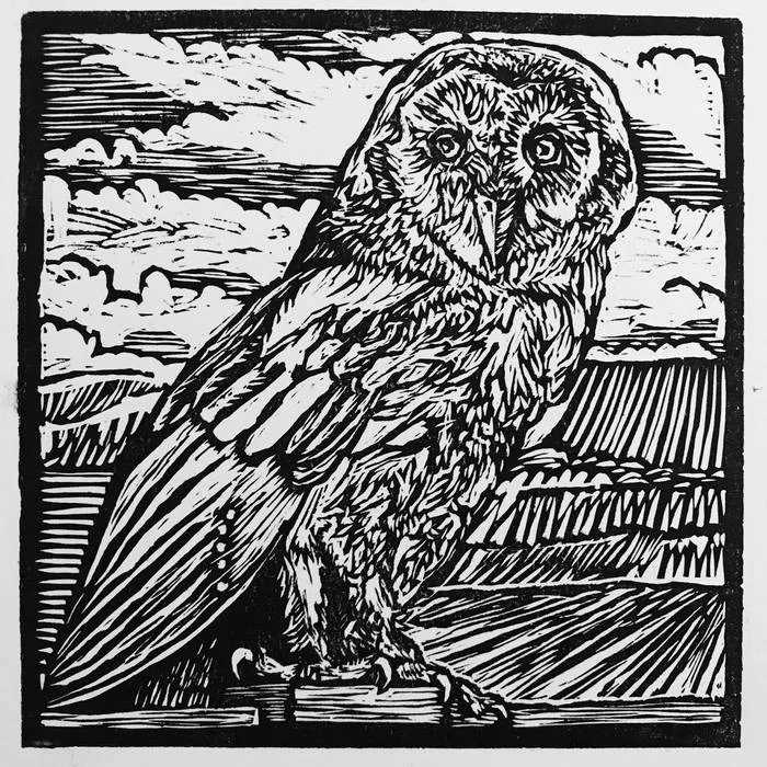 Vrktrekala Holocaust cover