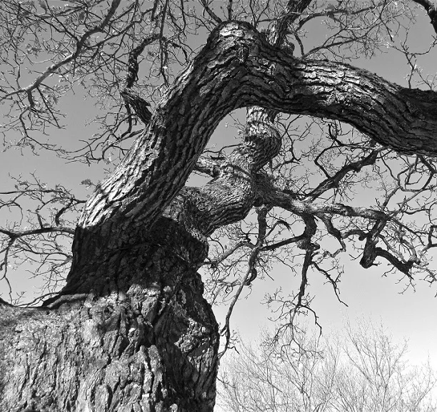 Pure Black Metal Philosophy Demo III cover