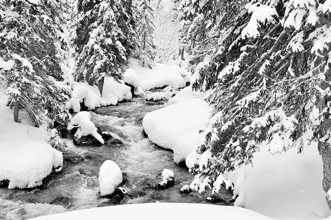 Forest Rehearsal Part II cover