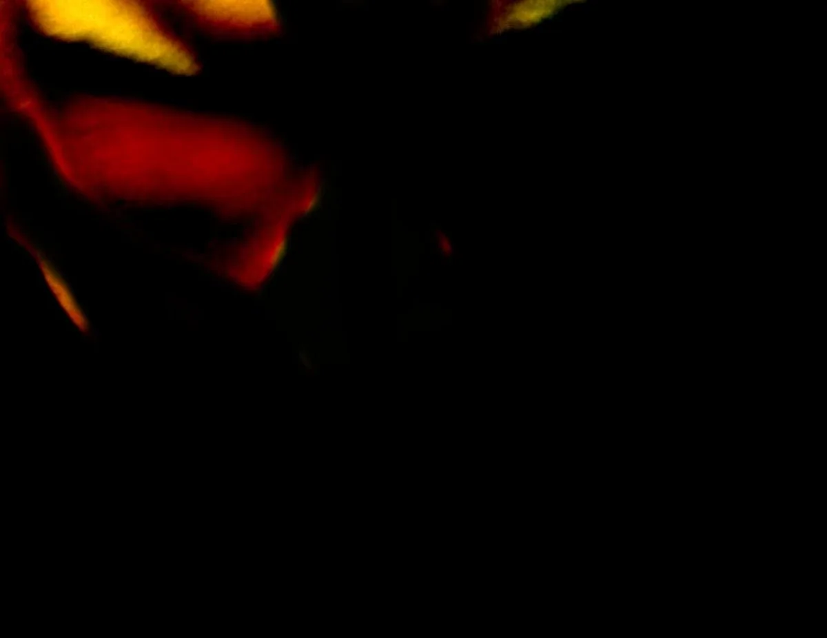 The Final Descent cover