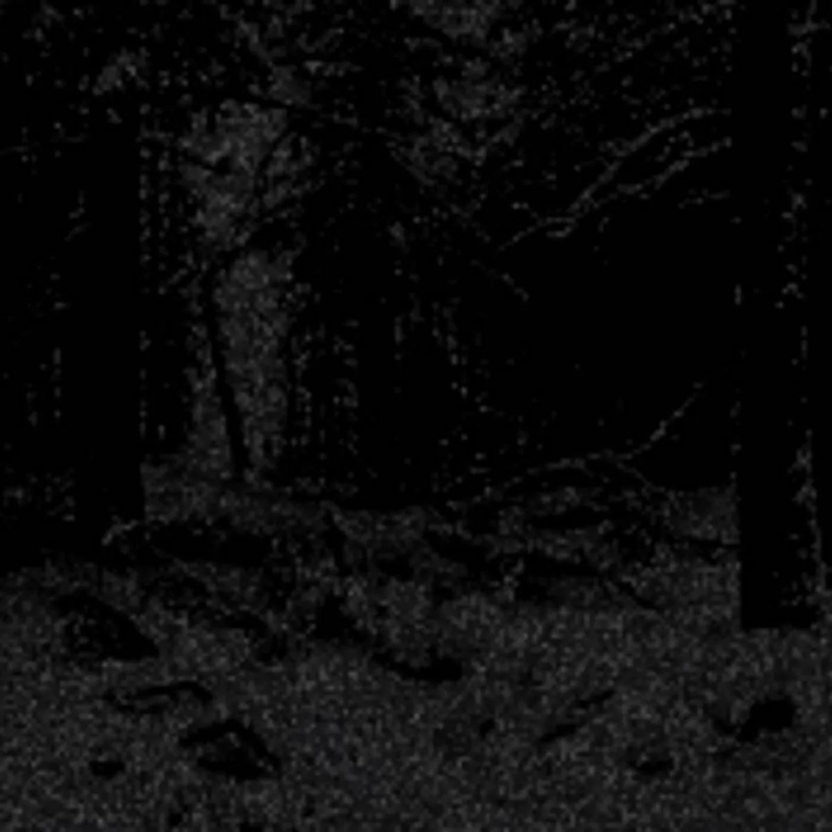 Throne of the Nameless Necromancer cover