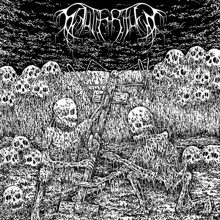 Sauterelle cover