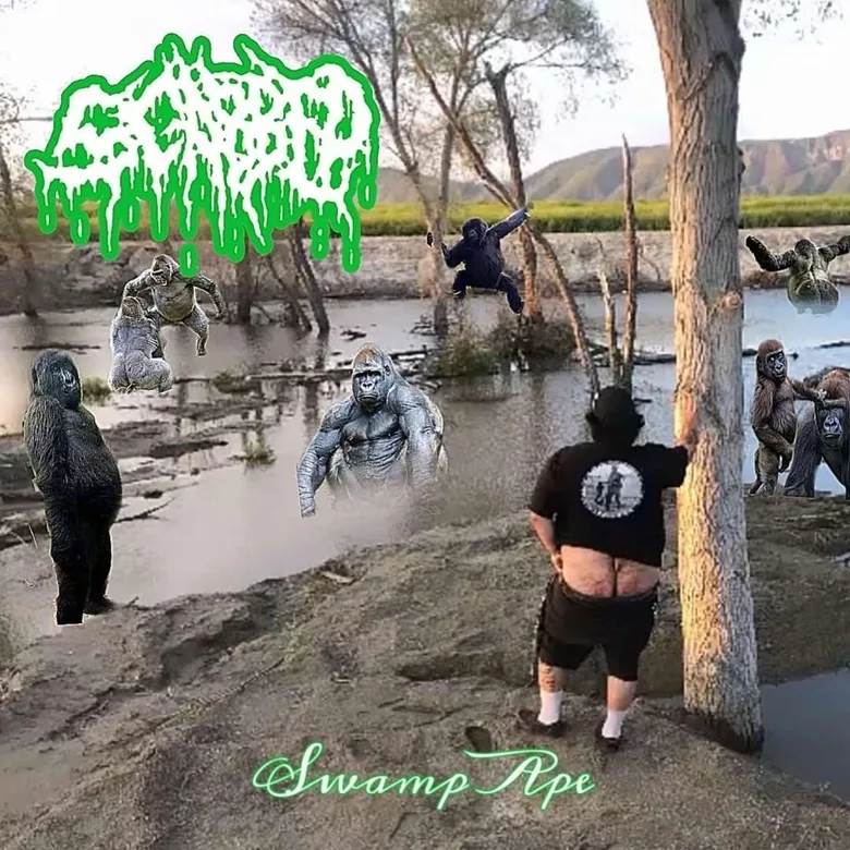 Swamp Ape cover