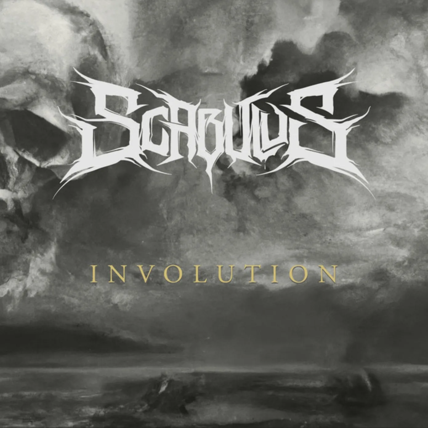 Involution cover